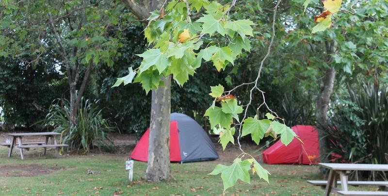 Turangi Holiday Park Eksteriør bilde